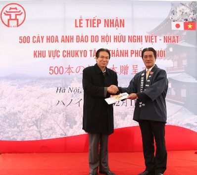 ฮานอยรับต้นซากุระจากสมาคมมิตรภาพเวียดนาม – ญี่ปุ่น